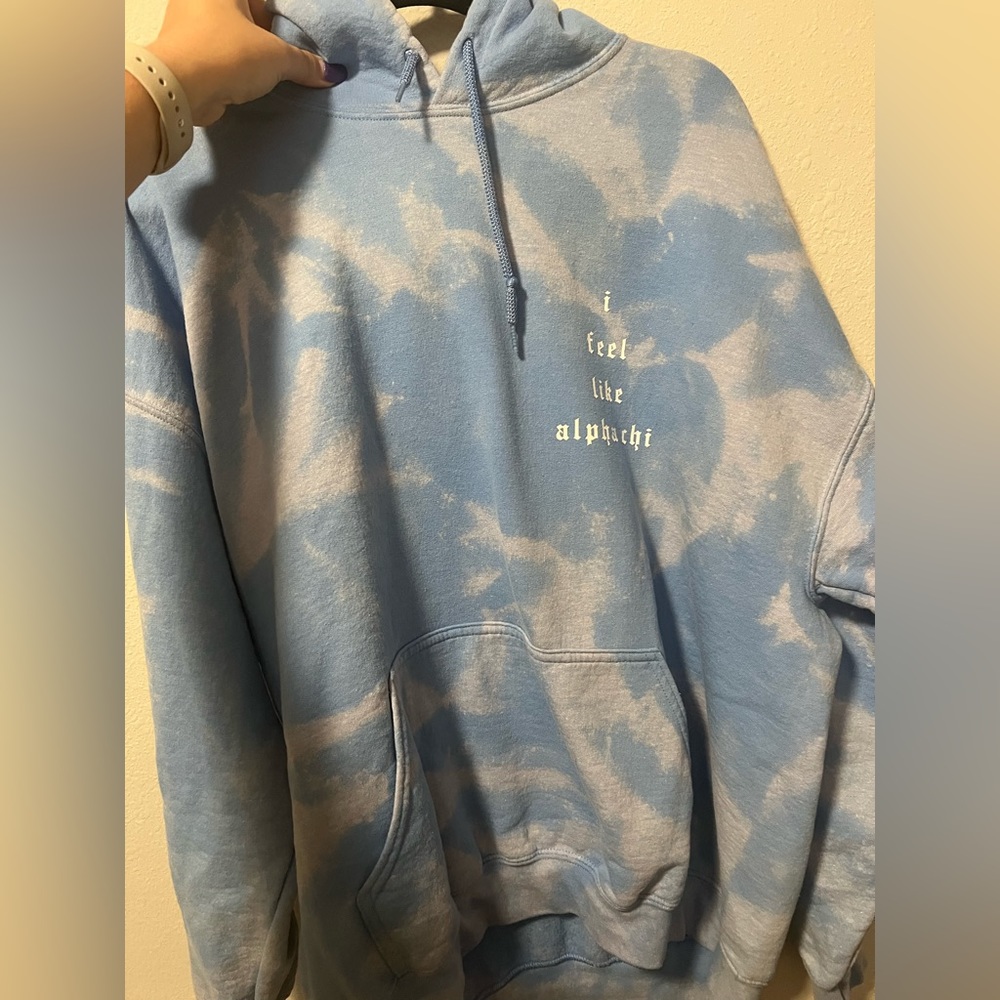 Alpha Chi Hoodie